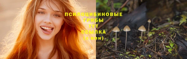 не бодяженный Горнозаводск