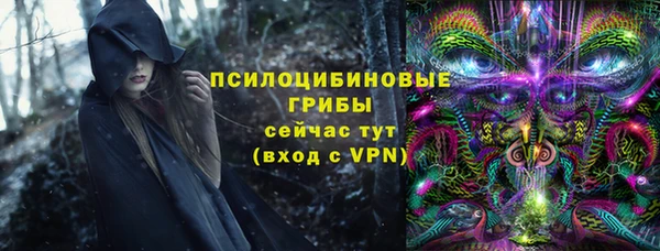 не бодяженный Горнозаводск